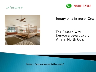 The Reason Why Everyone Love Luxury Villa In North Goa