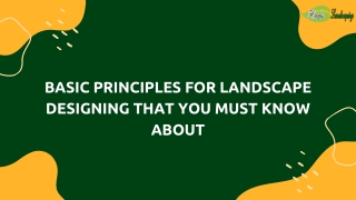 Basic Principles For Landscape Designing That You Must Know About