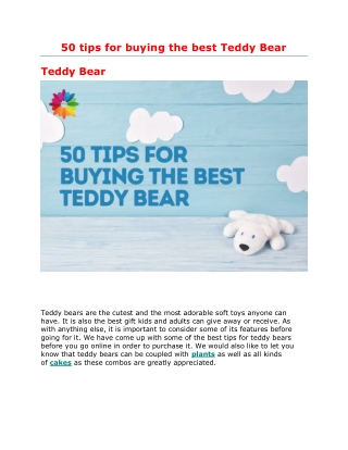 50 tips for buying the best Teddy Bear