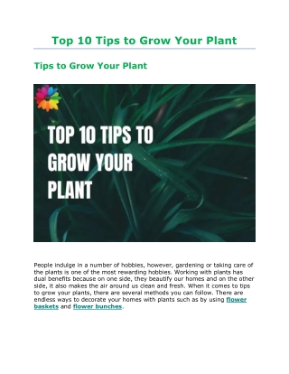 Top 10 Tips to Grow Your Plant