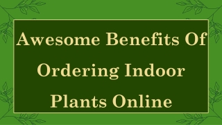 Awesome Benefits of Ordering Indoor Plants Online