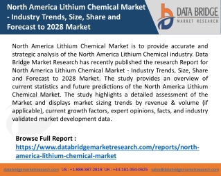 North America Lithium Chemical Market   - Industry Trends, Size, Share and Forecast to 2028 Market