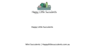 Mini Succulents  Happylittlesucculents.com.au