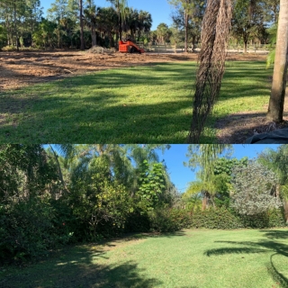 Land Clearing and Forestry Mulching in Naples, Cape Coral, Fort Myers FL