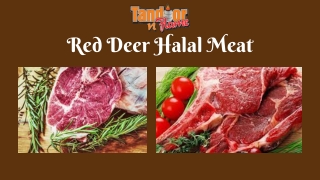 Red Deer Halal Meat