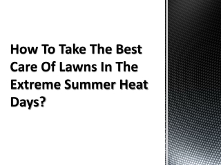 How To Take The Best Care Of Lawns In The Extreme Summer Heat Days