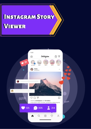 Instagram Story Viewer (2)