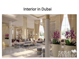 Interior In Dubai