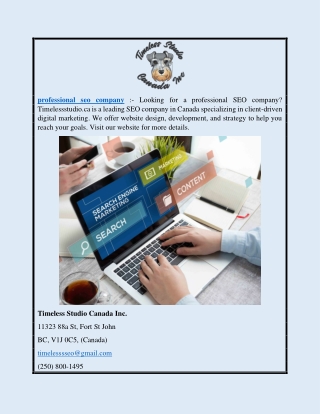 Professional Seo Company | Timelessstudio.ca