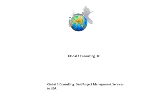 Global 1 Consulting LLC