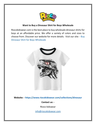 Want to Buy a Dinosaur Shirt for Boys Wholesale