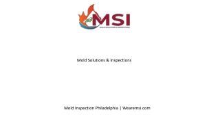 Mold Inspection Philadelphia  Wearemsi.com