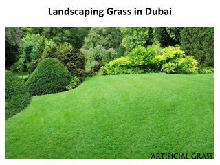 Landscaping Grass In Dubai