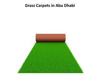 Grass Carpets In Abu Dhabi
