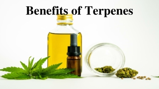 Benefits of Terpenes