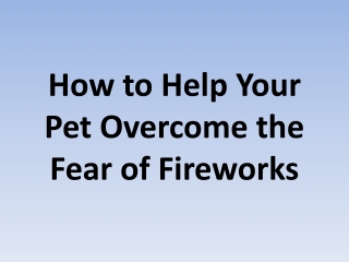 How to Help Your Pet Overcome the Fear of Fireworks