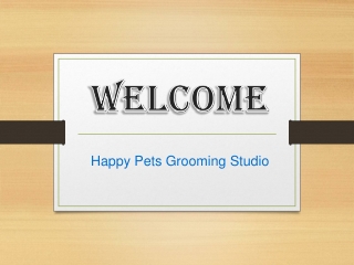 The Best Cats Grooming in Orpington