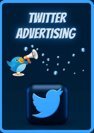 Twitter Advertising