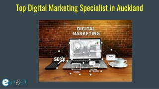 Top Digital Marketing Specialist in Auckland