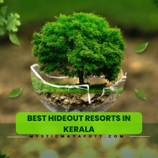 Best Resorts In Kerala For Family | Mystic Mayapott