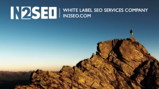 Wholesale White Label SEO Agency - In2SEO