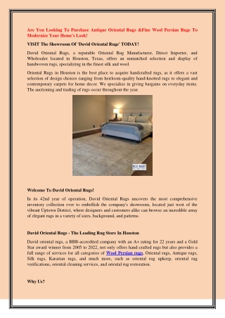 Are You Looking To Purchase Antique Oriental Rugs &Fine Wool Persian Rugs To Modernize Your Home's Look!