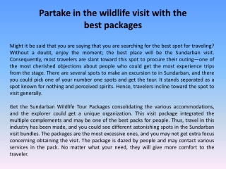 Partake in the wildlife visit with the best packages