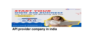 API provider company in india