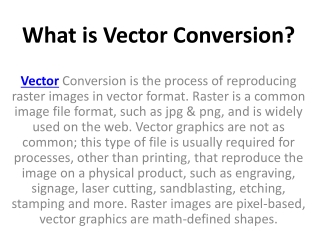 What is Vector Conversion?