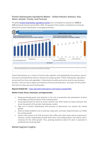 Protein Hydrolysates Ingredients Market