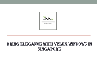 Bring elegance with Velux Windows in Singapore