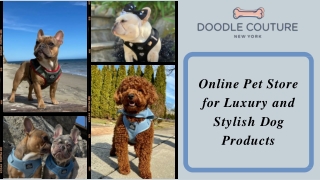 Online Pet Store for Luxury and Stylish Dog Products