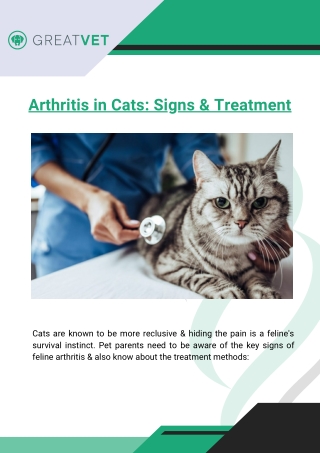 Arthritis in Cats Signs & Treatment