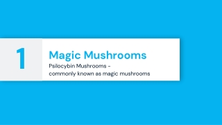 Magic Mushrooms