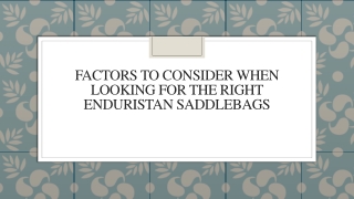 Factors To Consider When Looking For The Right Enduristan Saddlebags