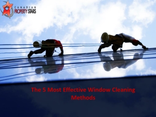 The 5 Most Effective Window Cleaning Methods
