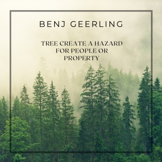 Benj Geerling - Tree Create a Hazard for People or Property