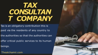 Tax Consultant Company