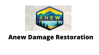 Seawall Repair Michigan