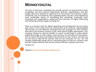 Monkeydigital