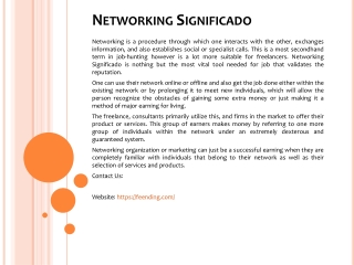 Networking Significado