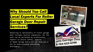 Why Should You Call Local Experts For Roller Garage Door Repair Services?