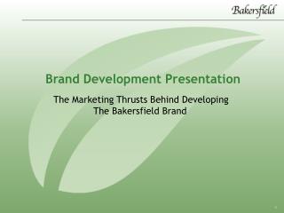 Brand Development Presentation