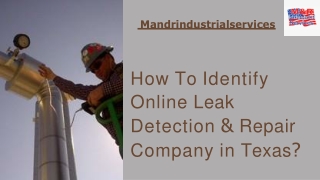 How To Identify Online Leak Detection & Repair Company in Texas?
