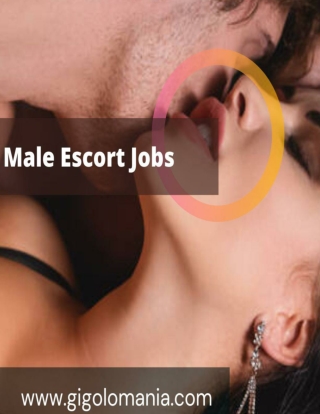 Male Escort Service Tips To Find Good Job In India
