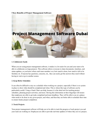 Project Management Software Dubai