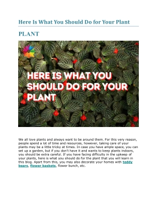 Here Is What You Should Do for Your Plant