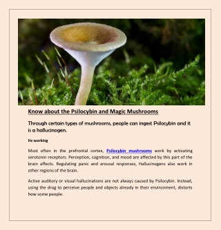 Know about the Psilocybin and Magic Mushrooms