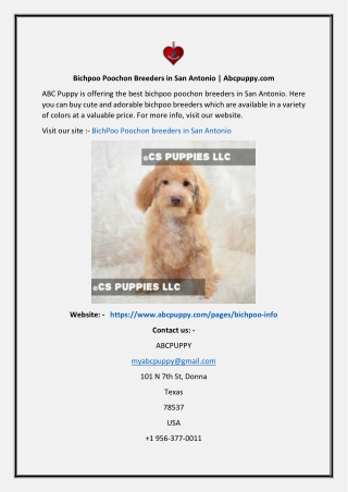 Bichpoo Poochon Breeders in San Antonio  Abcpuppy