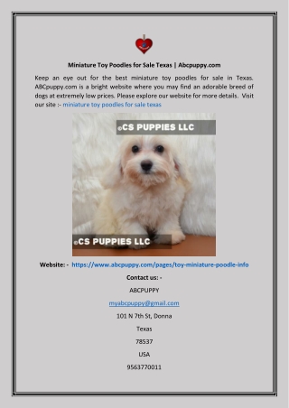 Miniature Toy Poodles For Sale Texas  Abcpuppy